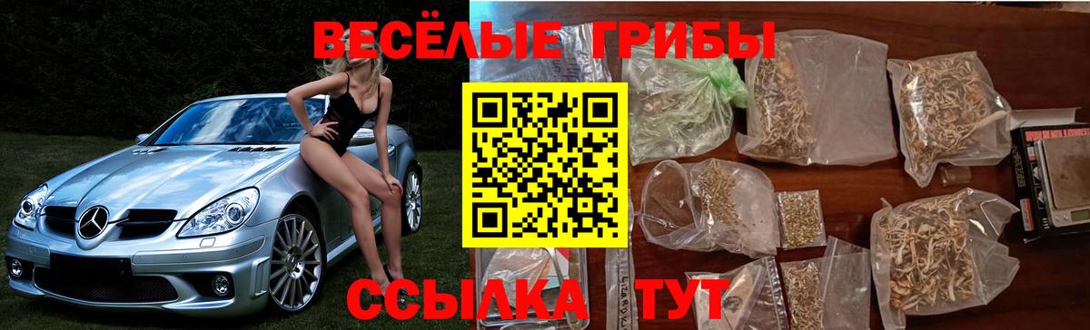 Псилоцибиновые грибы Magic Shrooms  Вход с VPN  Владивосток 
